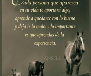 Miguel Angel
