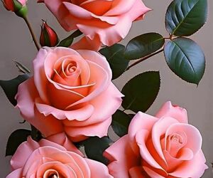 Flor