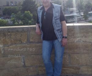 andonie petru 