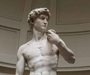 david