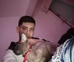 Luisonee