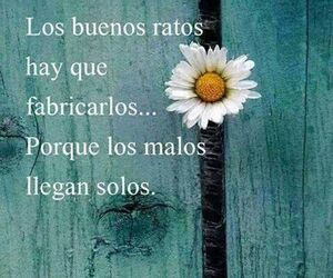 maria jose