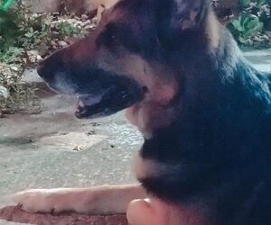 Beatriz