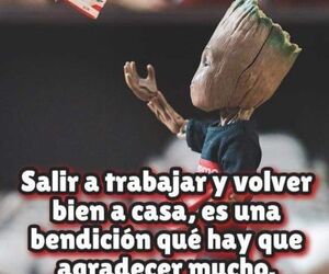 tamy