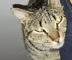 JULIO