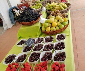 Veganzgz