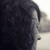 Nuria