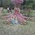 Luz MARY