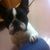 anik_06