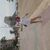 Merche