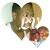 Waly Diawara