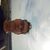 Juanma