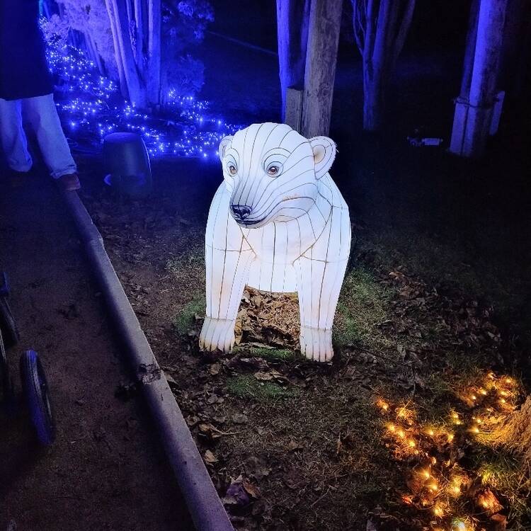 Foto de perfil de Lucas