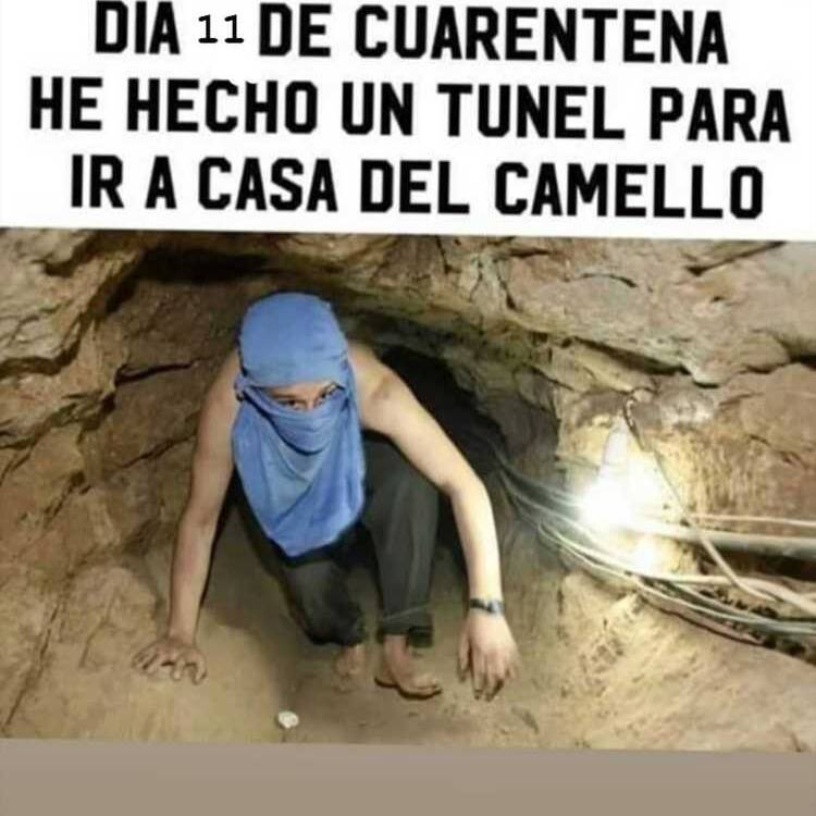 Foto de perfil de Roberto