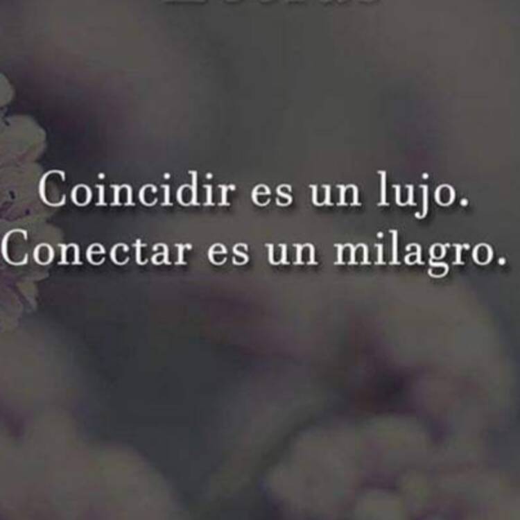 Foto de perfil de ana