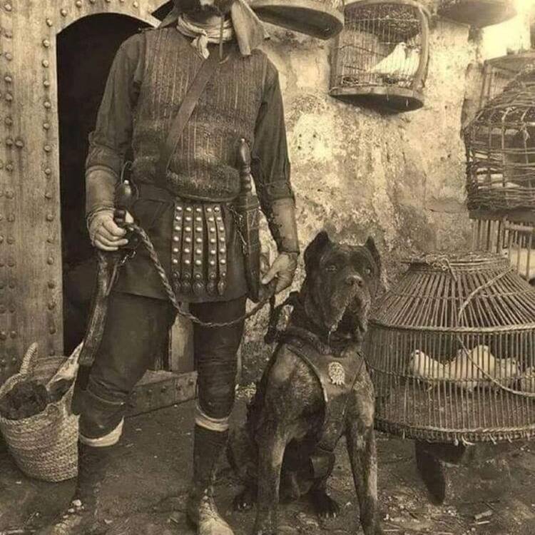 Foto de perfil