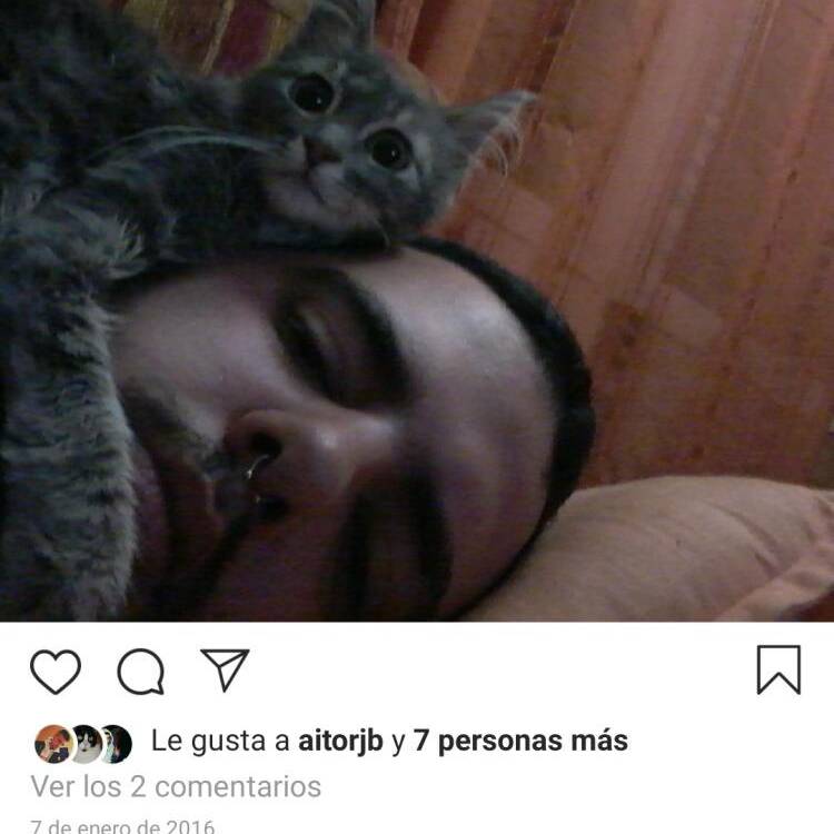 Foto de perfil