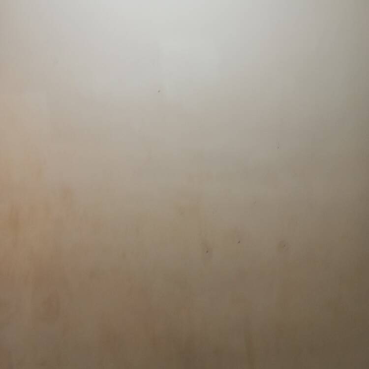 Foto de perfil de Fran