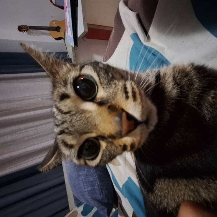 Foto de perfil de Karl