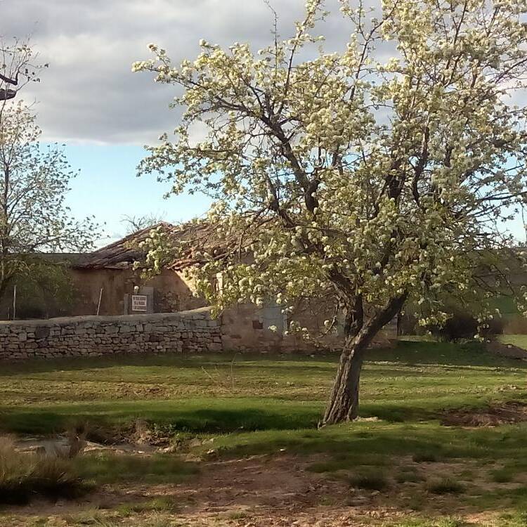 Foto de perfil de Belen