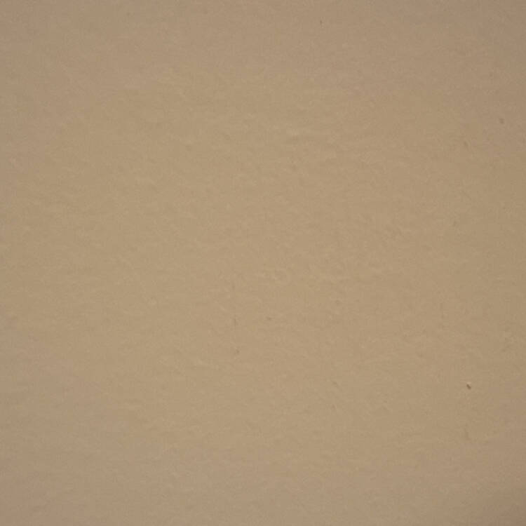 Foto de perfil de Julio