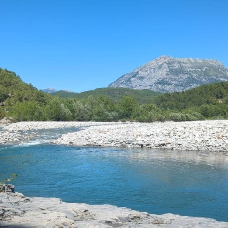 Foto de perfil de Julio