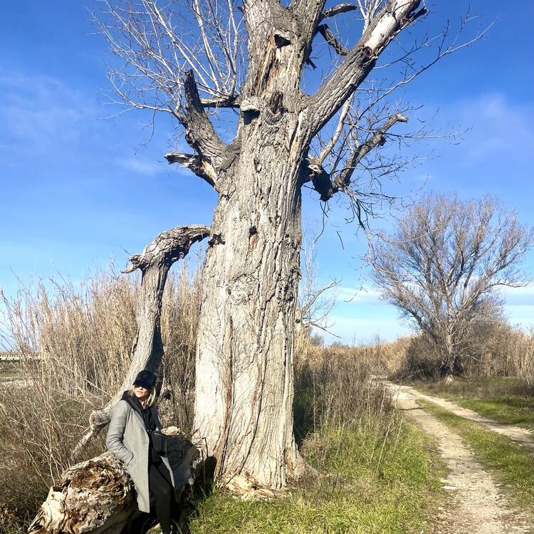 Foto de perfil
