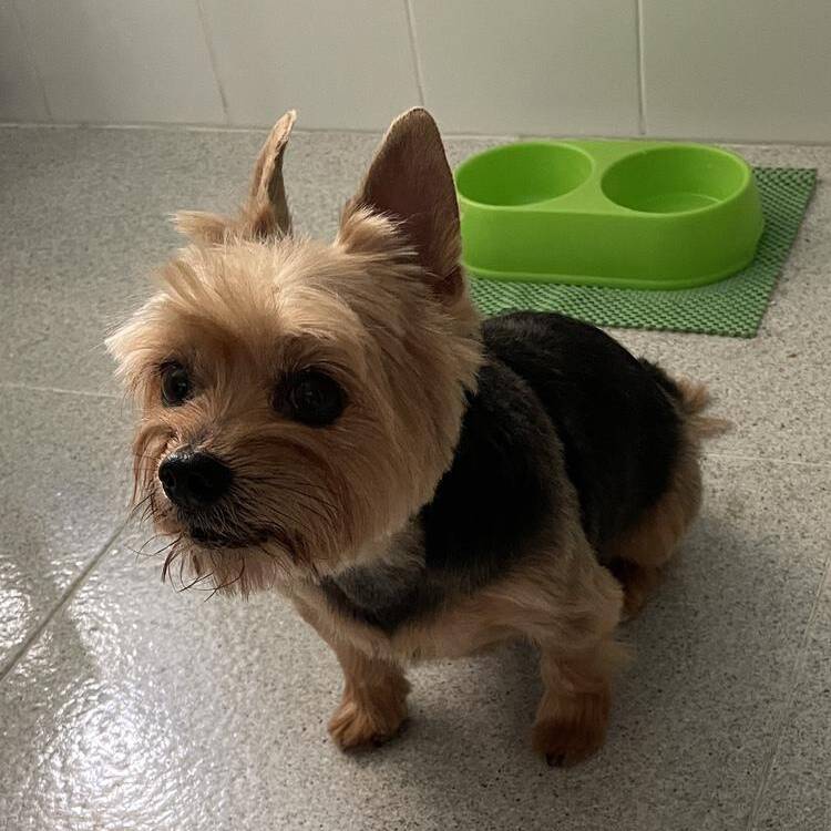 Foto de perfil