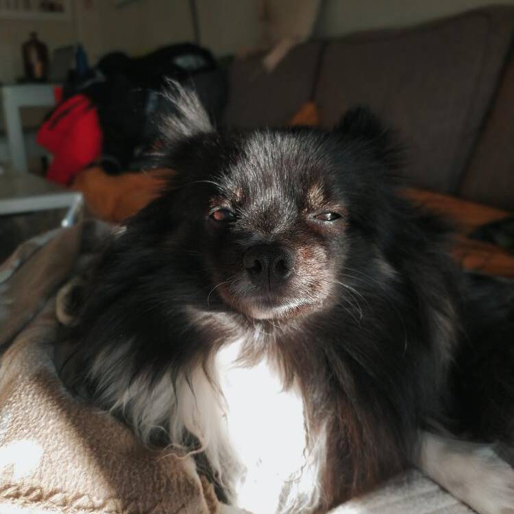 Foto de perfil de Judith