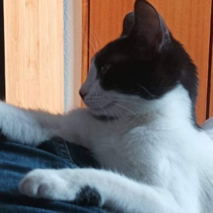 Foto de perfil de enyd