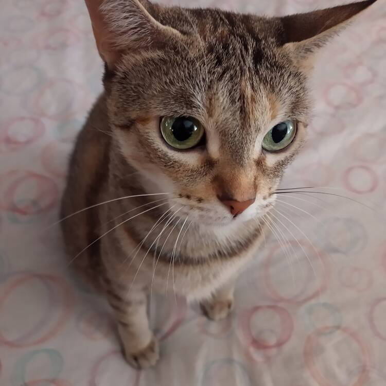 Foto de perfil