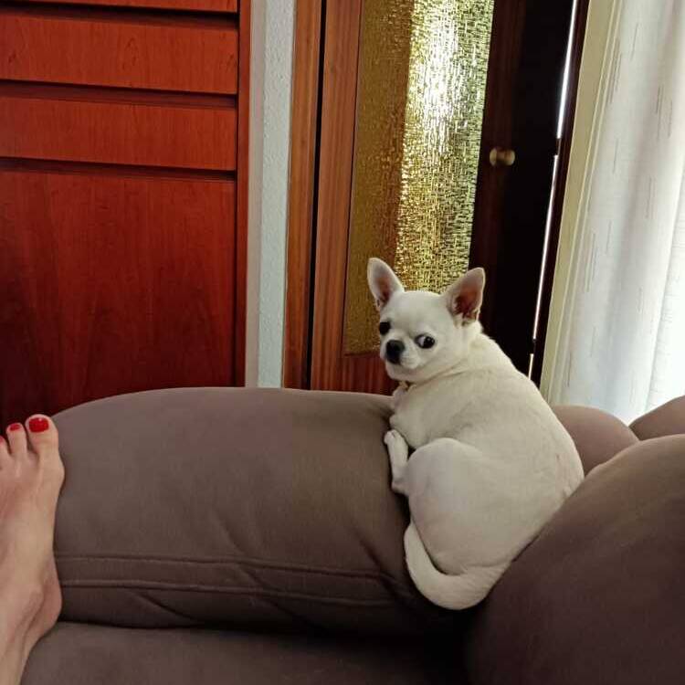 Foto de perfil
