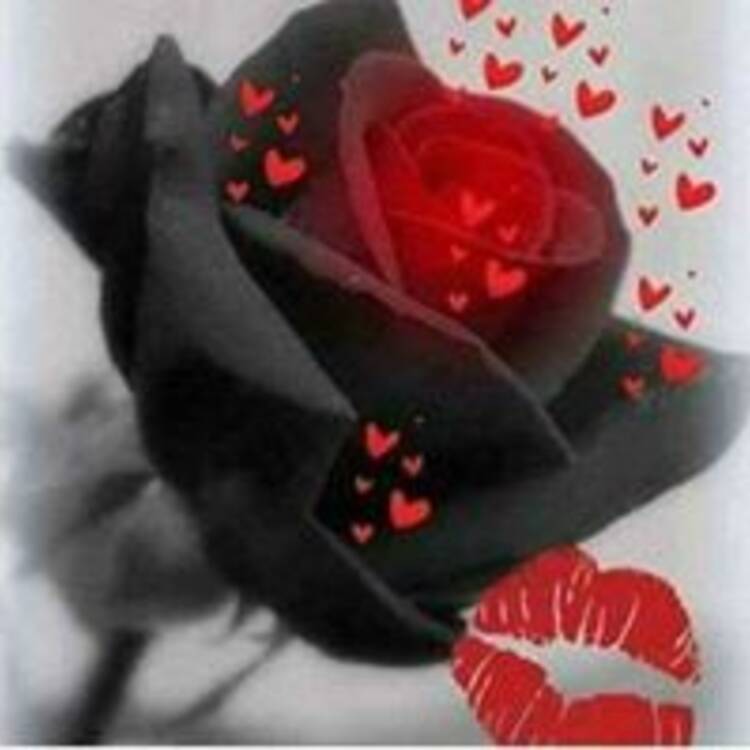 Foto de perfil de Rosae Rosa