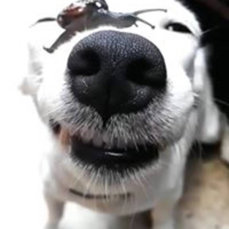 Foto de perfil de La Juerga de Io