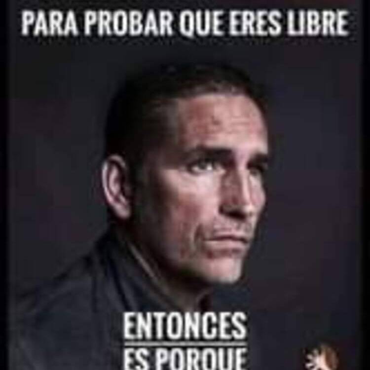 Foto de perfil de David