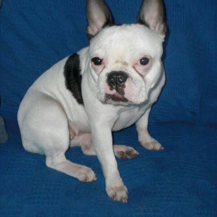 Foto de perfil de Yoli