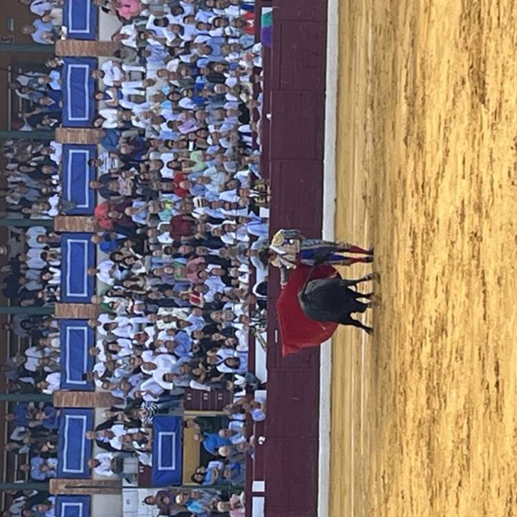 Foto de perfil de Jansel