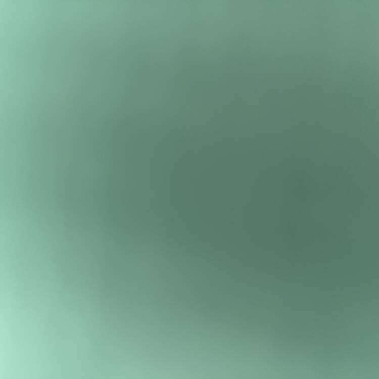 Foto de perfil de Bella