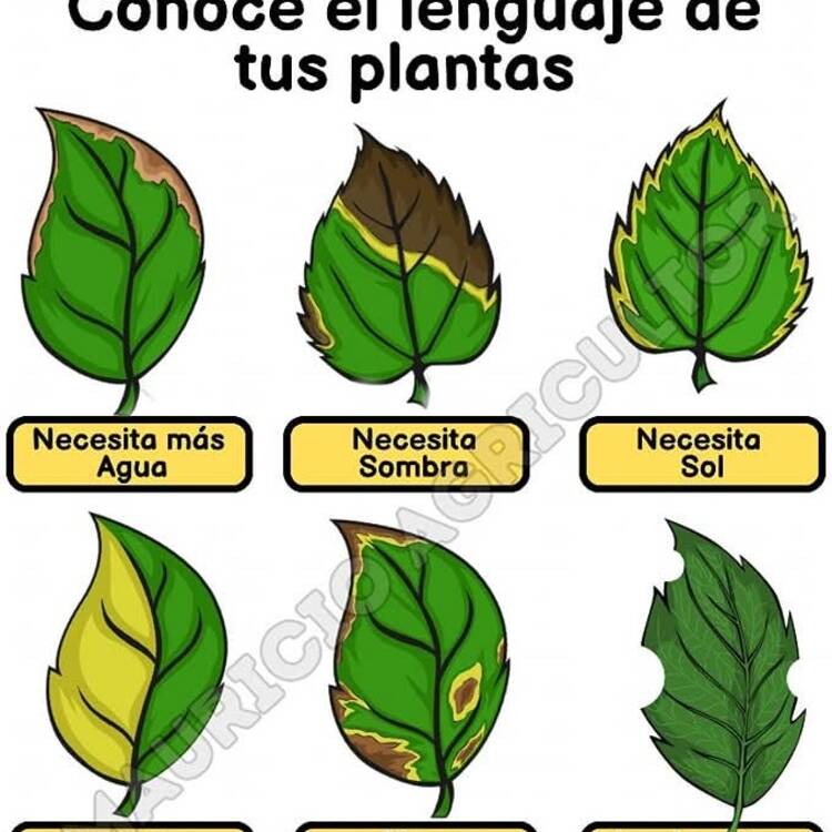 Foto de perfil de Mujerdl68