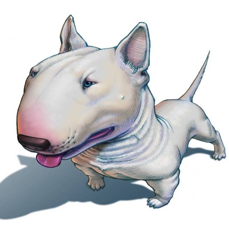 Foto de perfil de Carlos
