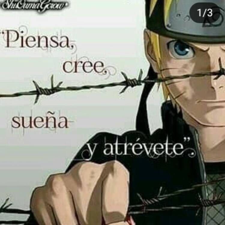 Foto de perfil de gabriel