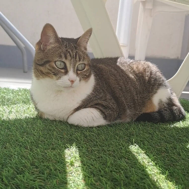Foto de perfil