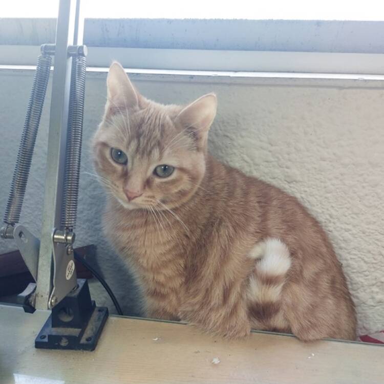 Foto de perfil
