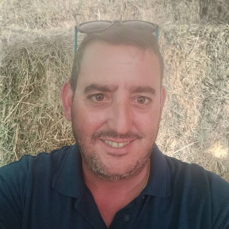 Foto de perfil de Tomas