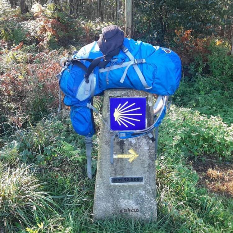 Foto de perfil de carlos