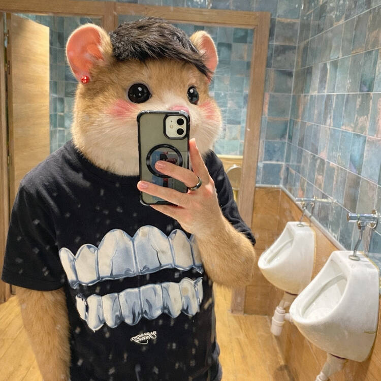 Foto de perfil de David