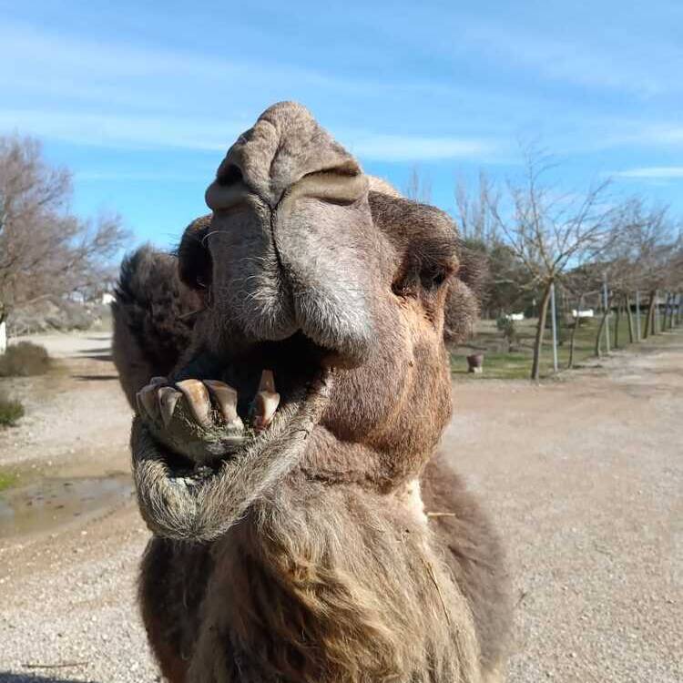 Foto de perfil de Ricardo