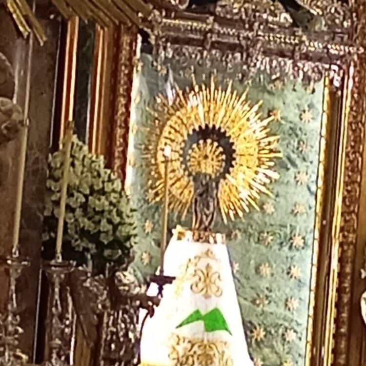 Foto de perfil de Pillar