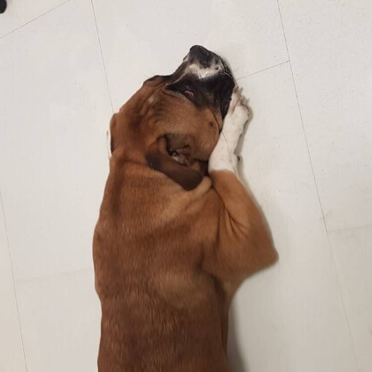 Foto de perfil