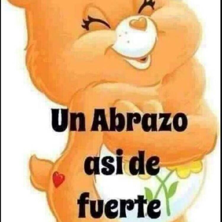 Foto de perfil de Natividad